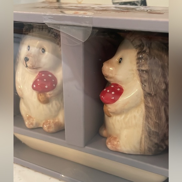 NEW Hedgehog Salt & Pepper Shakers With Tray - Picture 6 of 6